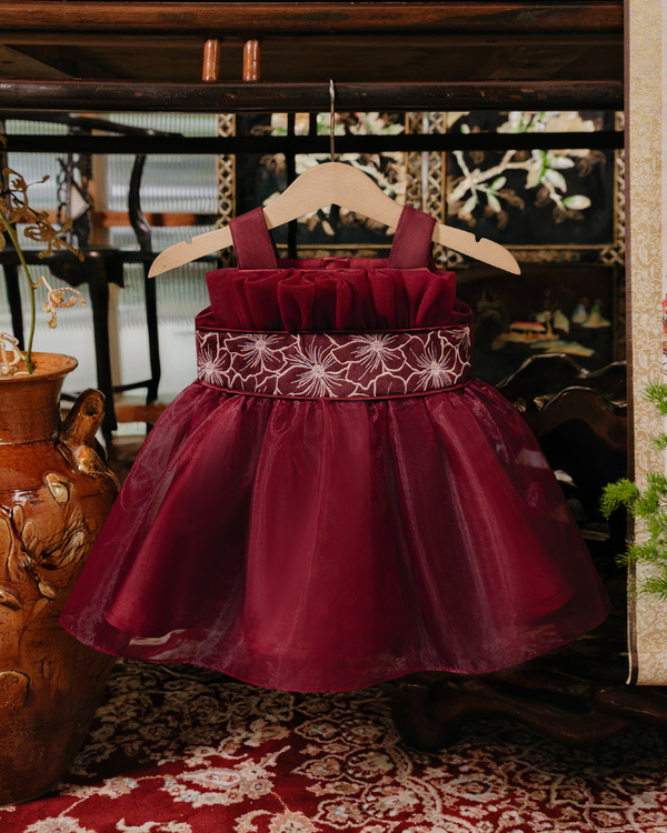 Baby Sienna Dress in Maroon