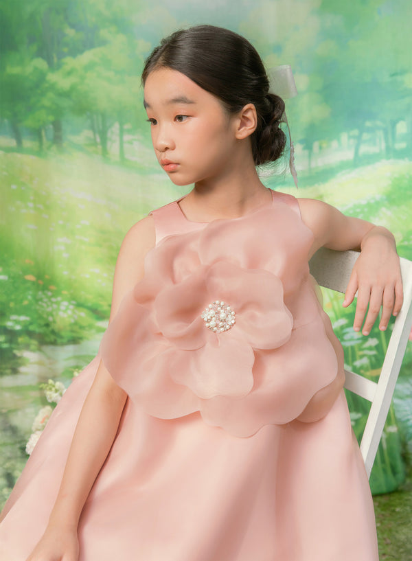 Adele Dress