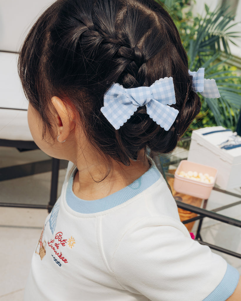 Gingham Twin Clips in Blue