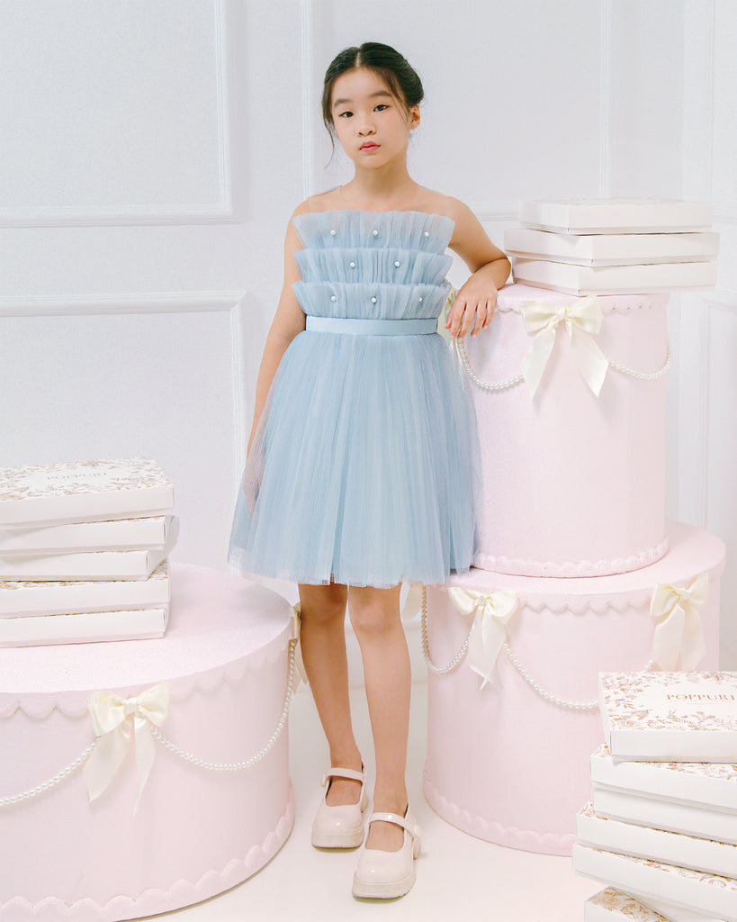 Adelaide Dress in Dusty Blue